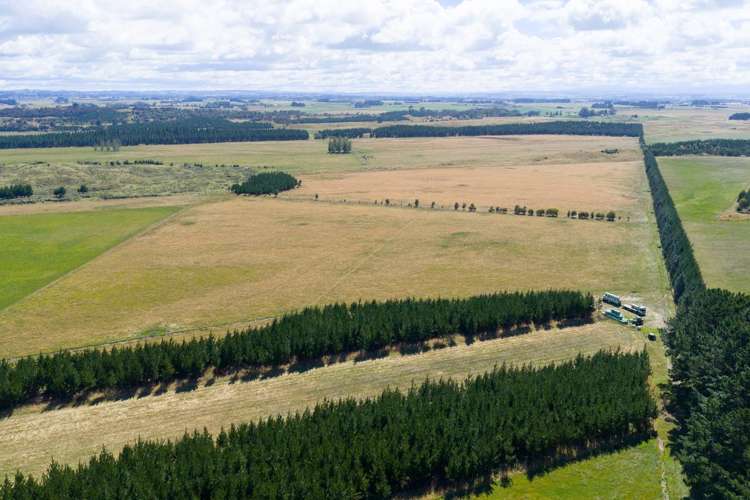 590 Brandon Hall Road Bulls_8