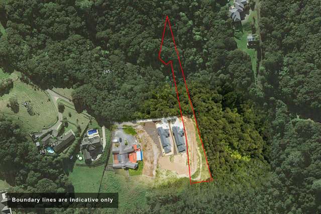 249c Lonely Track Road Albany Heights_1