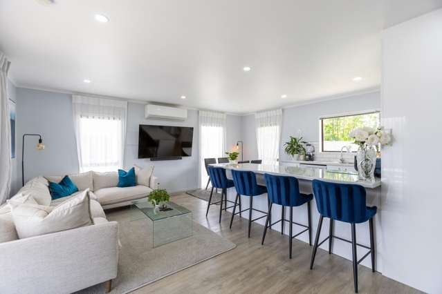 17A Geddis Avenue Maraenui_1