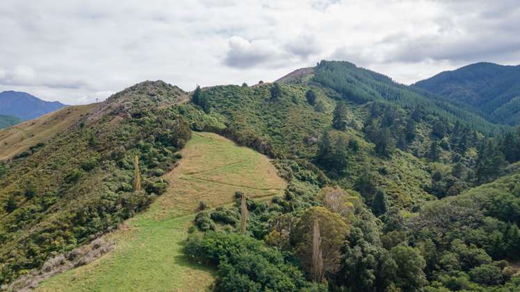 1840 Dovedale Road Woodstock_11