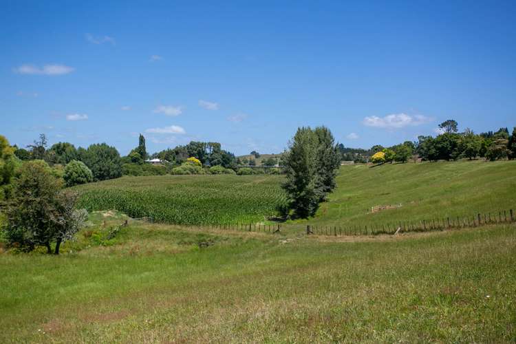 54 O'Shea Road Pirongia_23