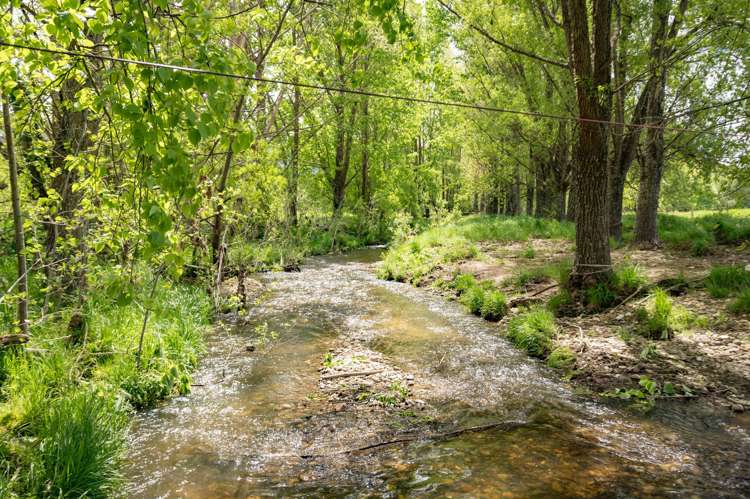 98 Thorpe-Orinoco Road Ngatimoti_34