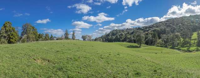 52 North Road Kaitaia_4