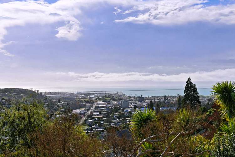 8a Allan Street Nelson South_23