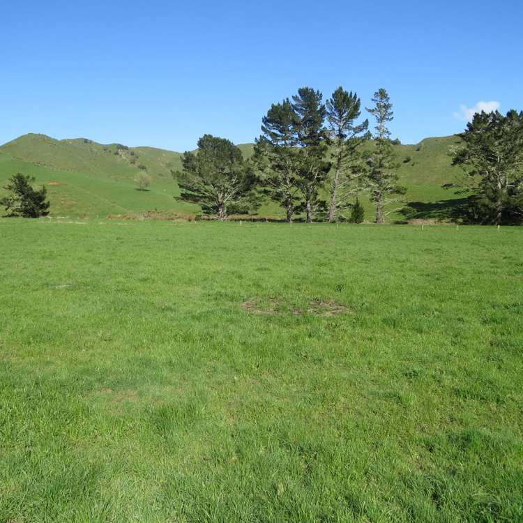 168 Pao Road Aria_21