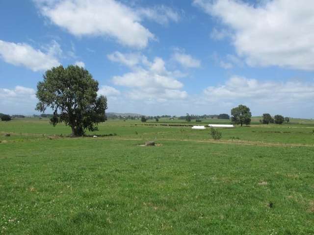 307 Kakepuku Road Te Awamutu_1