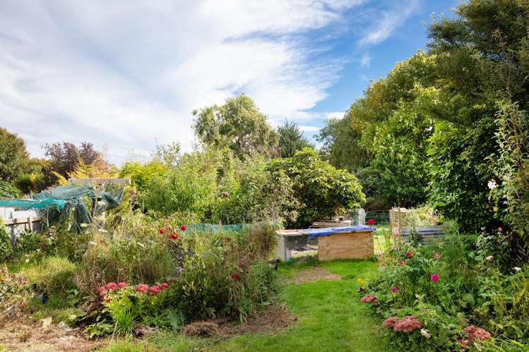 45 Maitland Street Strathern_15