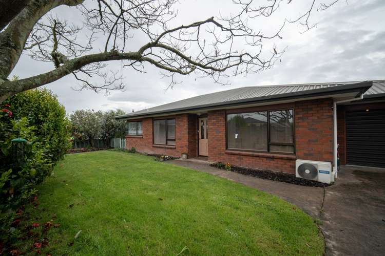 371 Nayland Road Stoke_16