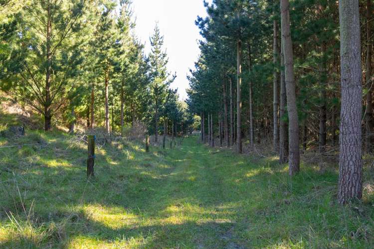 725 Raumai Road Bulls_25