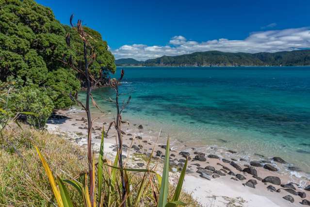 190 Pacific Ocean, Slipper Island (Whakahua) Thames_4