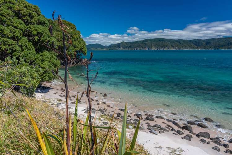 190 Pacific Ocean, Slipper Island (Whakahua)_4