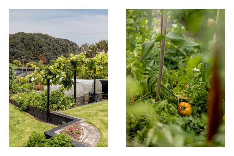 38 Nesbitt Street Matata_18