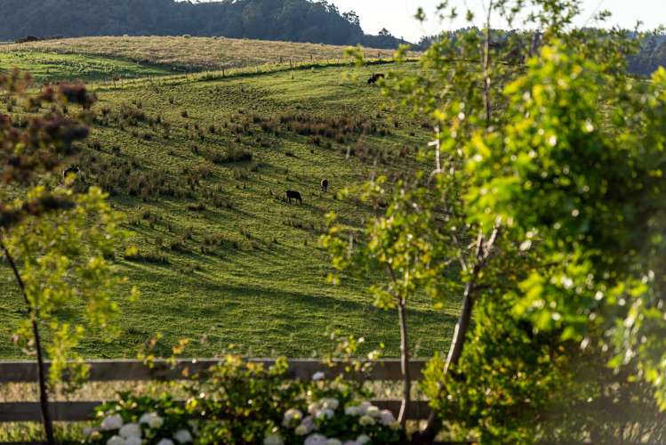 44 Arone Way Wainui_34