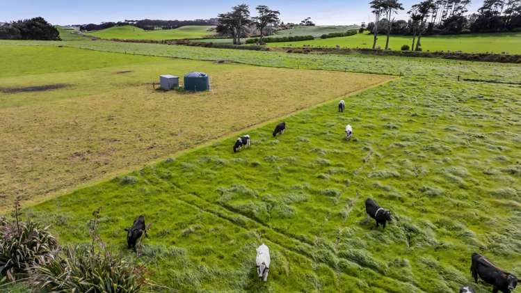 203 Kakaramea Road Kakaramea_41