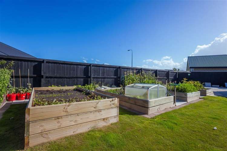 5 Navy Loop Rolleston_15