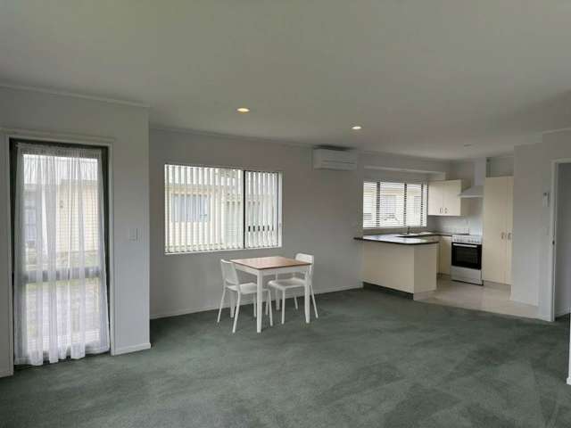 146A George Street Tuakau_2