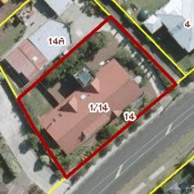 14 The Avenue Albany_2