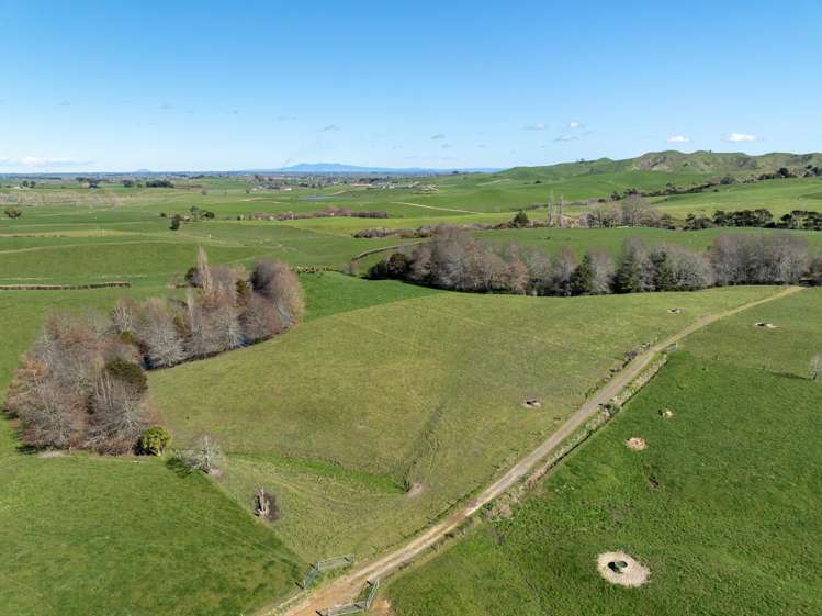 97 Herbert Road Morrinsville_18