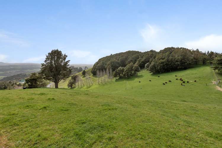 387 O'Carroll Road Maungakaramea_29