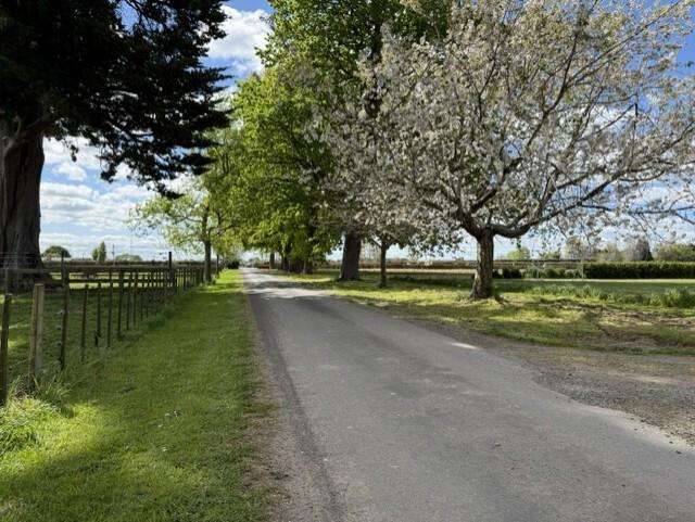 473 Bruntwood Road Tamahere_3
