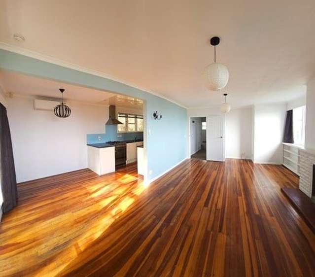 172 The Esplanade Island Bay_1