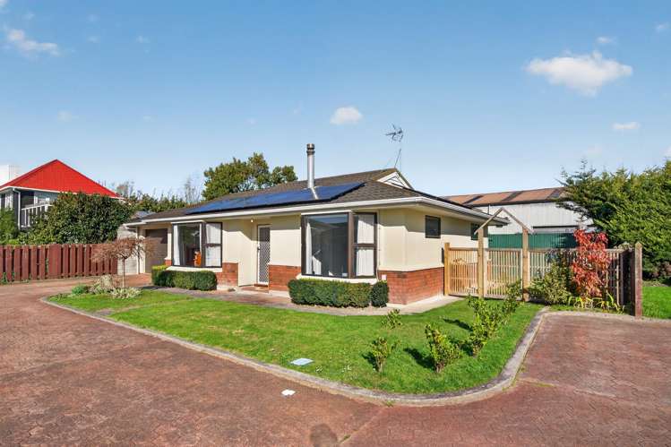 50C McMaster Street Greytown_15