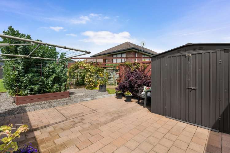 55/2 Seales Road Morrinsville_13