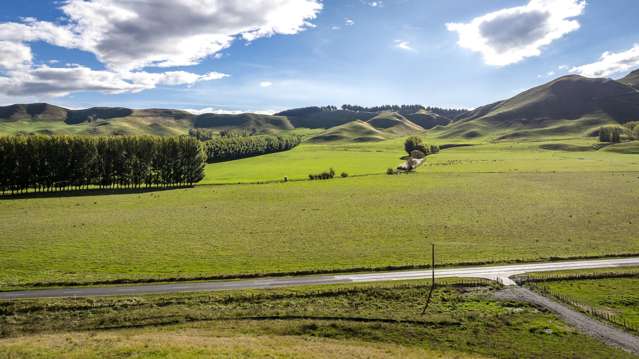 1427 Middle Road Poukawa_2