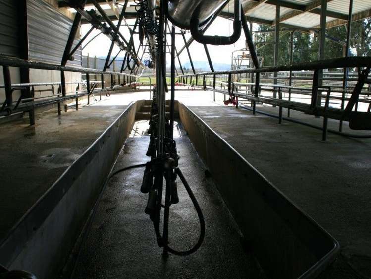 261 Middle Road Gore Surrounds_6