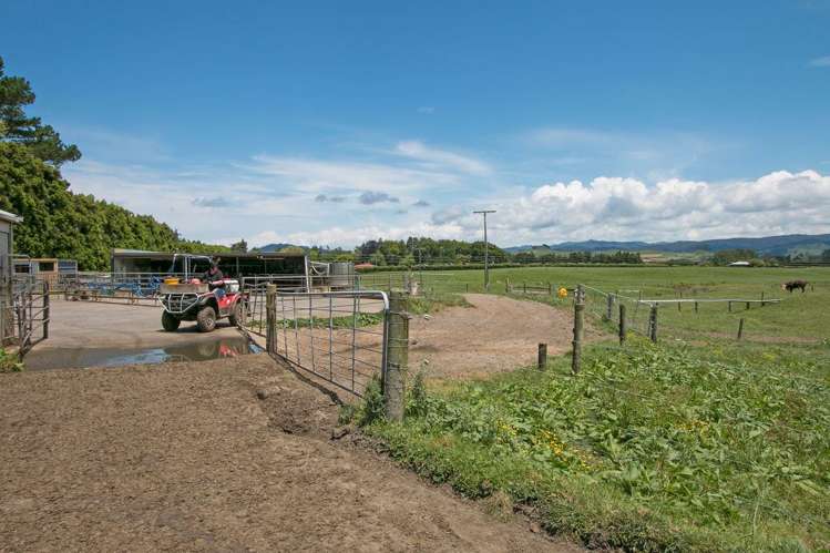 305 Waihi Beach Road Waihi_12