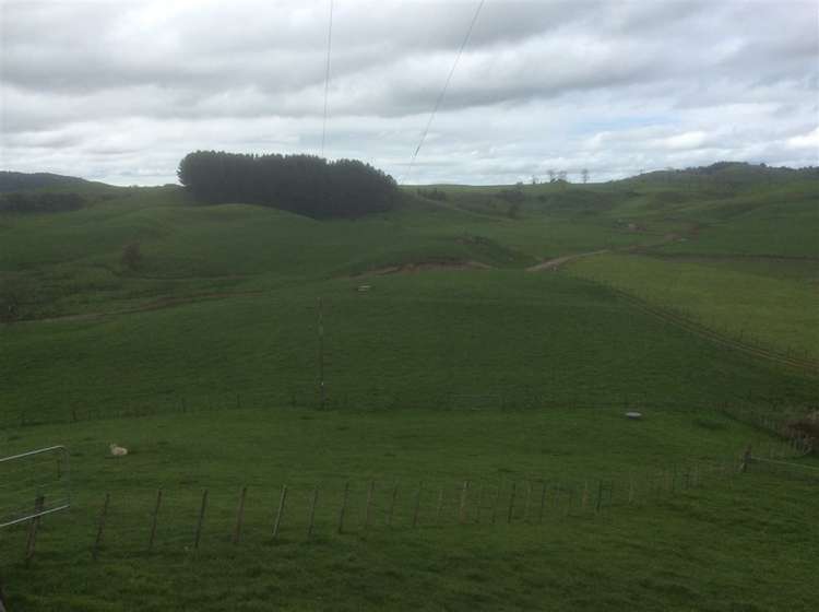 407 Aria Road Piopio_28