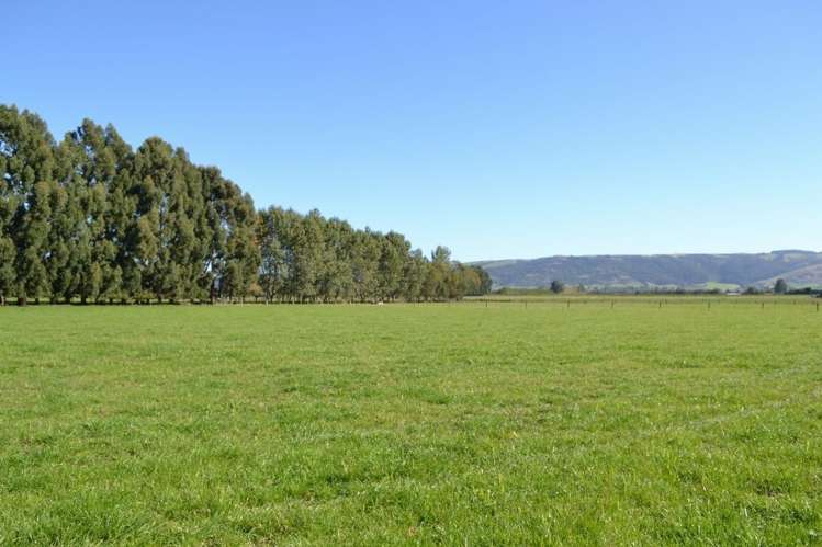 230 Bush Road Mosgiel_3