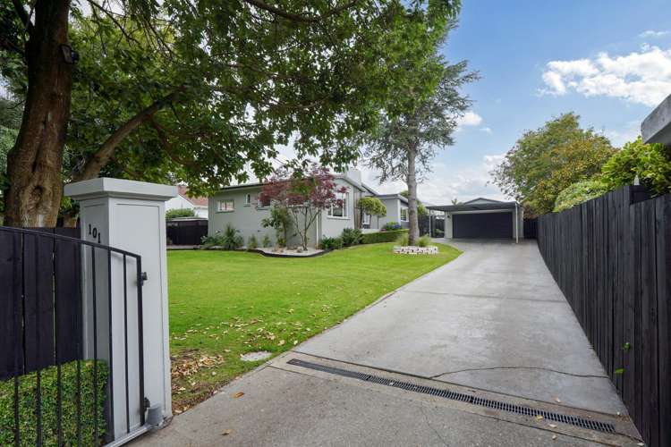 101 Ward Street Waverley_17