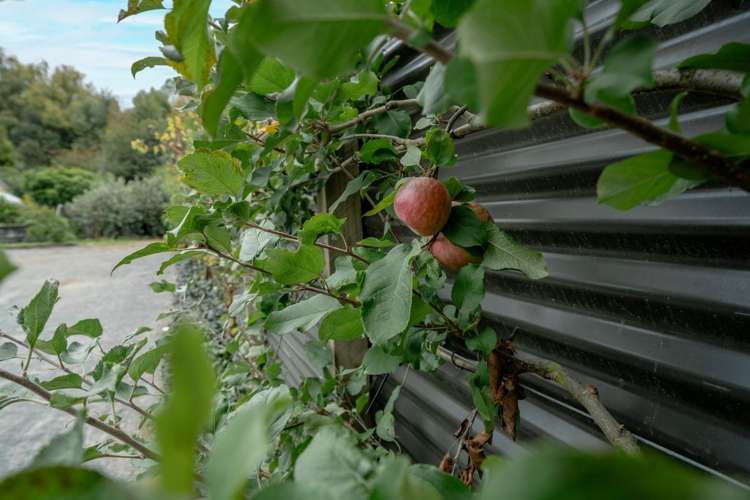 33 Beattie Road Kawerau_24