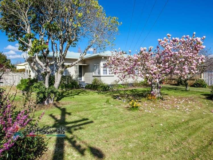 121 College Road Edgecumbe_17