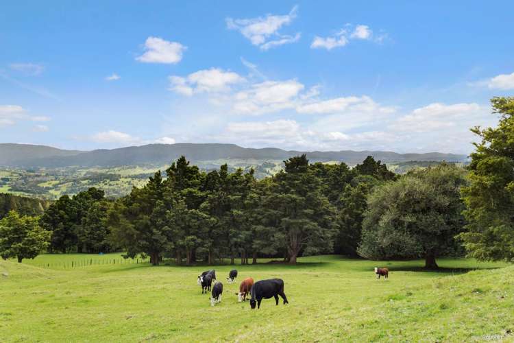 1a Waiare Road Okaihau_25