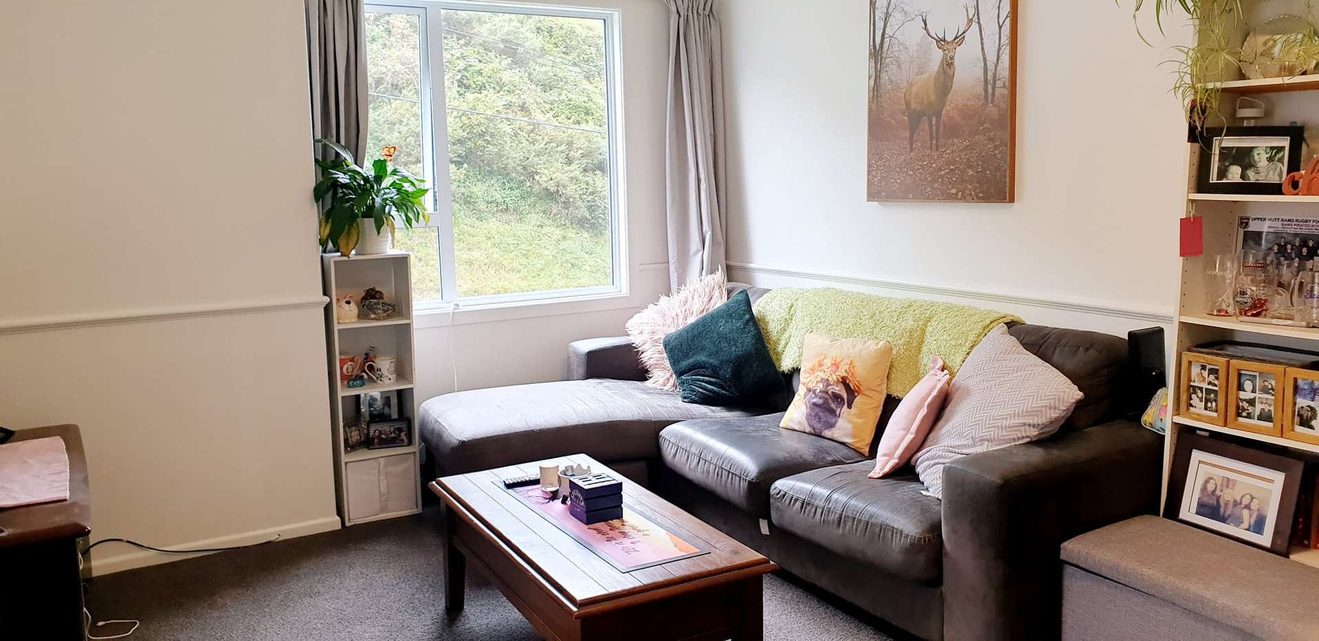 3/304 Ohiro Road Brooklyn_0