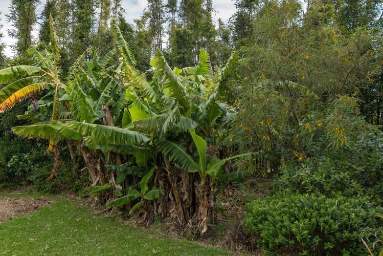 587 Koutu Loop Road Opononi_7