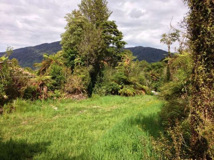 7 Punga Grove Lake Kaniere_5