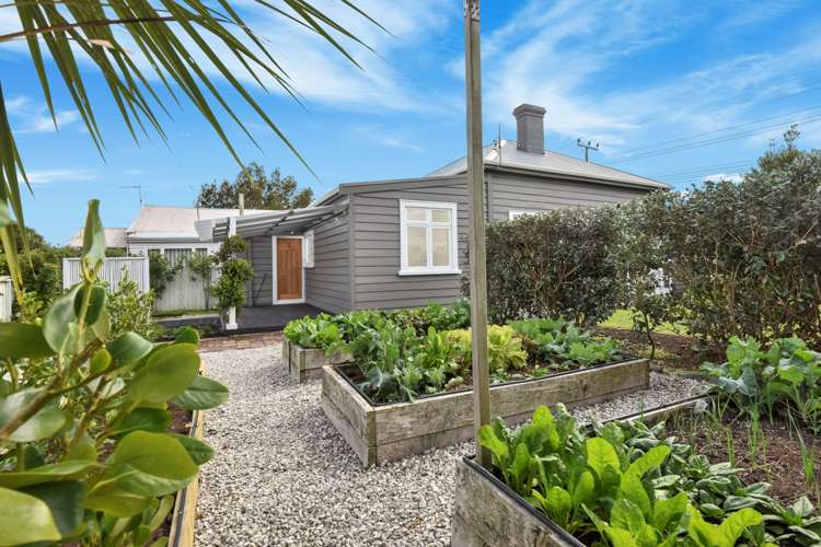 1/1 Palm Court Drive Glen Eden_1