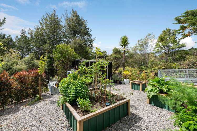 77 Hobson Road Albany_30