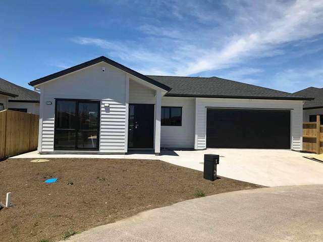 1 Sapwood Crescent Takanini_1