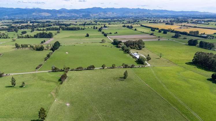 220 Tiffin Road Carterton_10