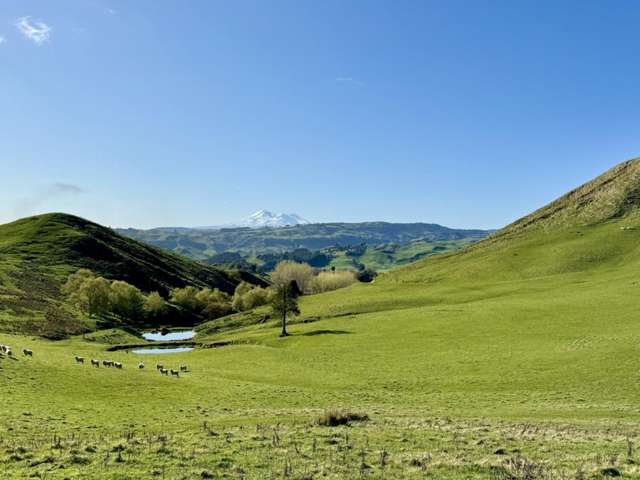 515 Ruanui Road Taihape_1