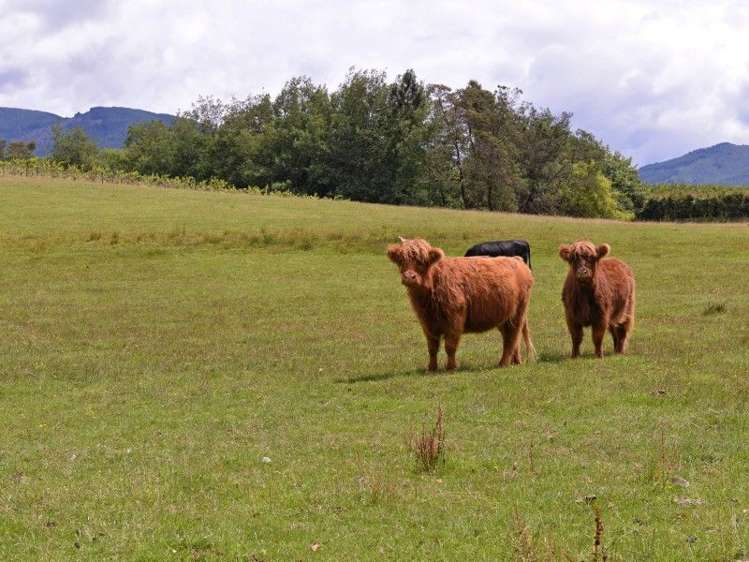 85 Mcbrydie Road Lower Moutere_16