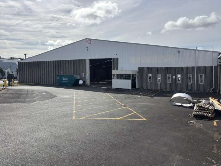 11 McDonald Street Morningside_14