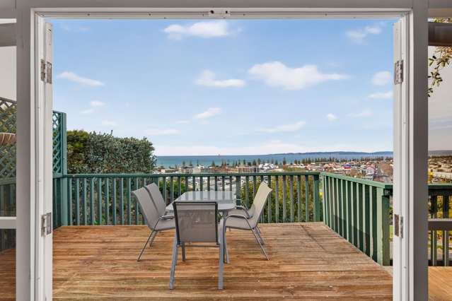 42 Cameron Road Bluff Hill_1