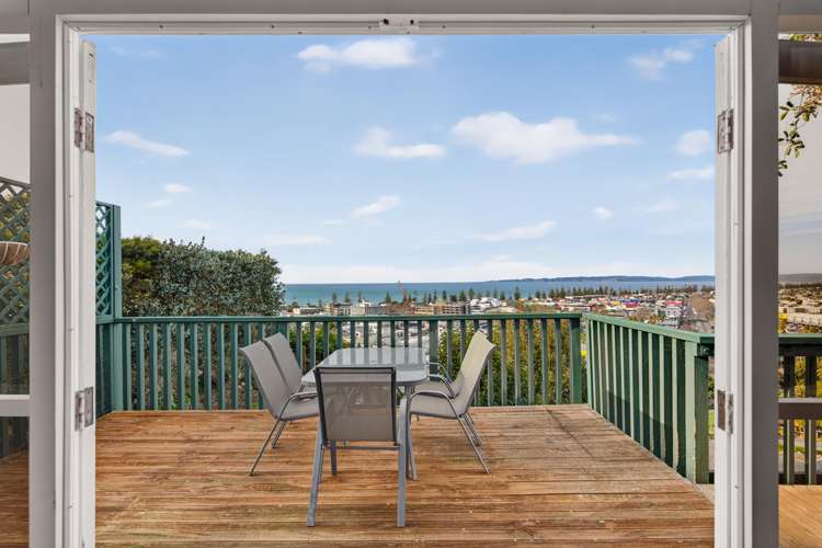 42 Cameron Road Bluff Hill_1