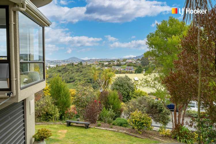 50 Aytoun Street Waverley_22