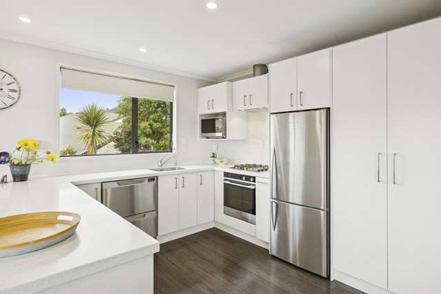 6 Joe Brown Avenue Mosgiel_3